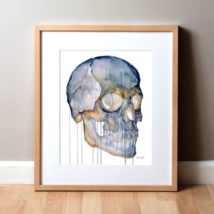 Framed watercolor painting of a skull from a three quarter view.