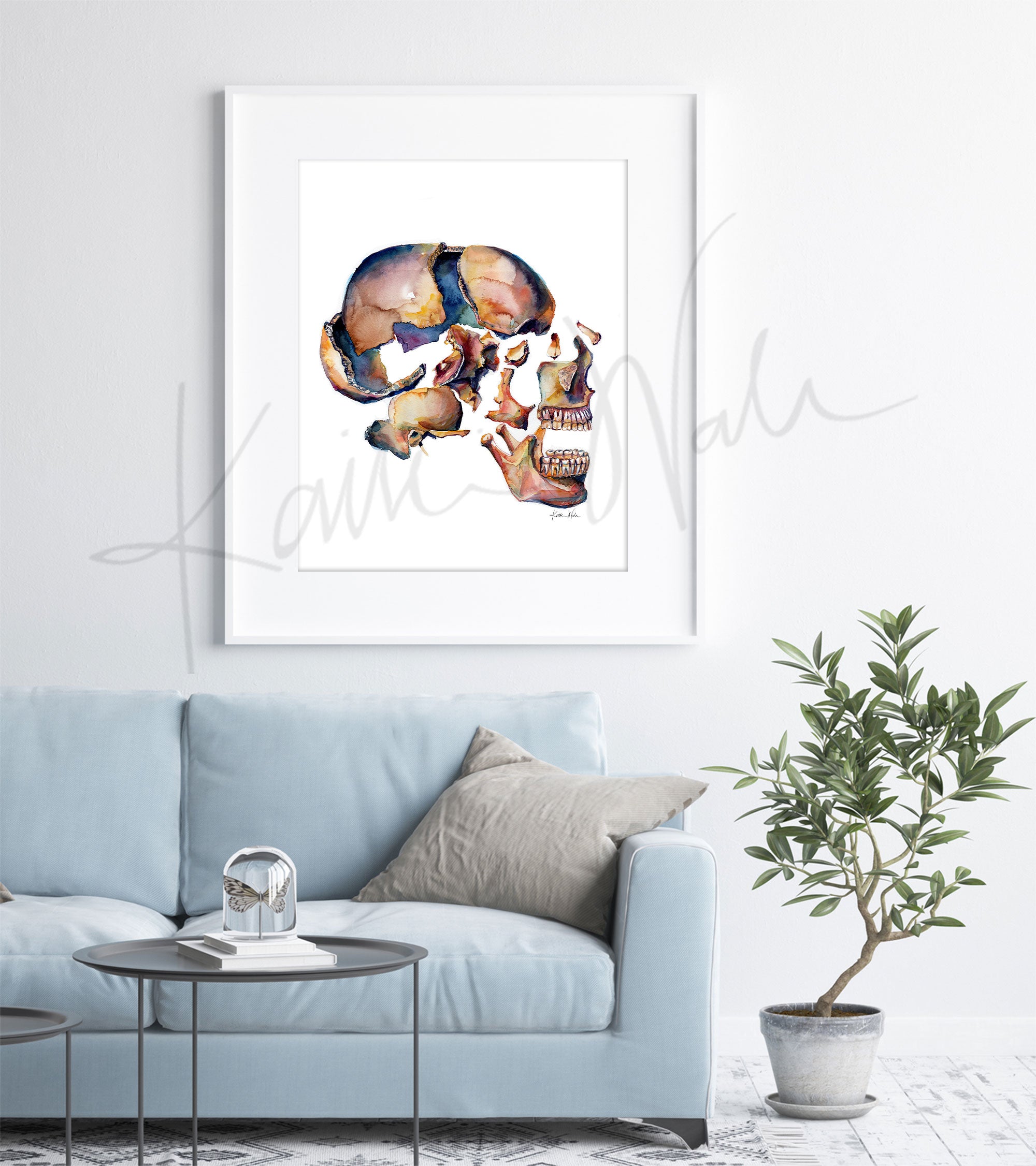 Exploded View of Skull II Watercolor Print