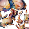 Exploded View of Skull II Watercolor Print
