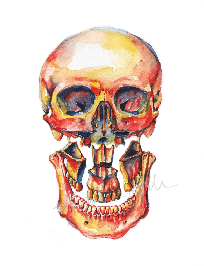 Lefort I Watercolor Print