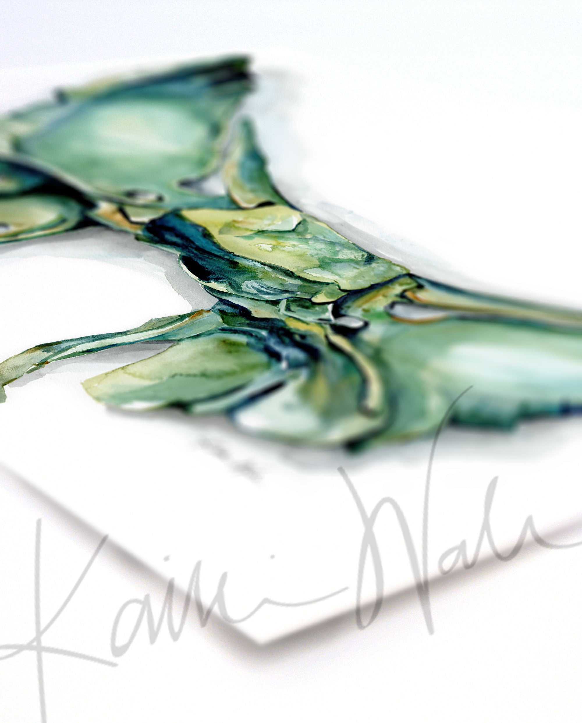 Angled view of a watercolor painting of the sphenoid bone.
