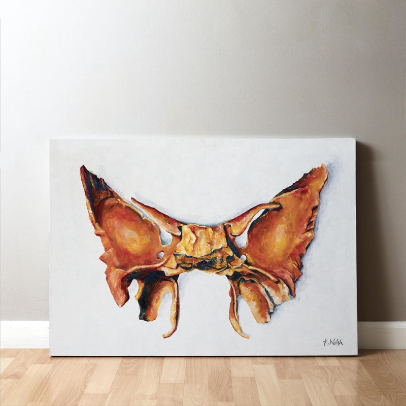 Sphenoid Canvas Print