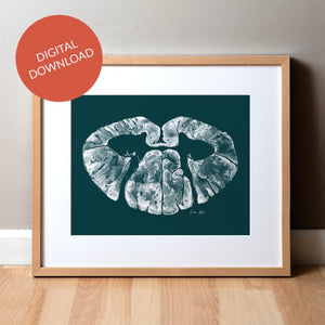 Spinal Cord Watercolor Print In Teal - Digital Download