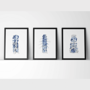 Blue Spine Print Set Watercolor