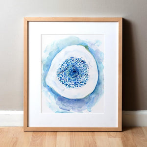 Spongy Bone Watercolor Print