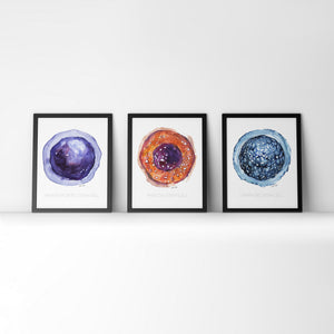 Framed watercolor painting set of stem cells.