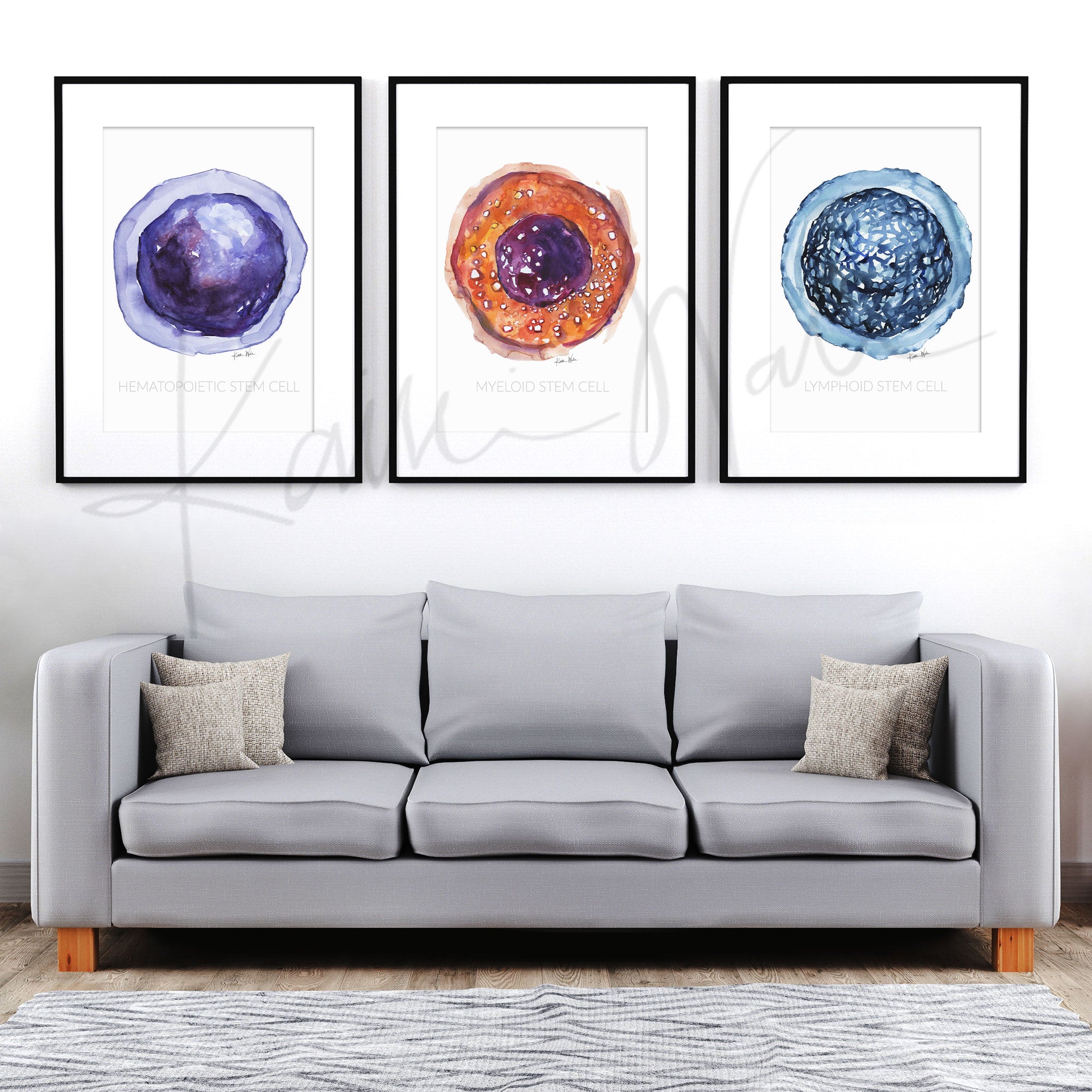 Framed watercolor painting set of stem cells. The painting is hanging over a gray couch.