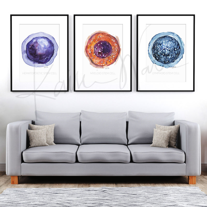 Framed watercolor painting set of stem cells. The painting is hanging over a gray couch.