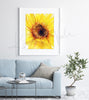 Framed watercolor painting of a sunflower in solidarity with Ukraine. The painting is hanging over a blue couch.