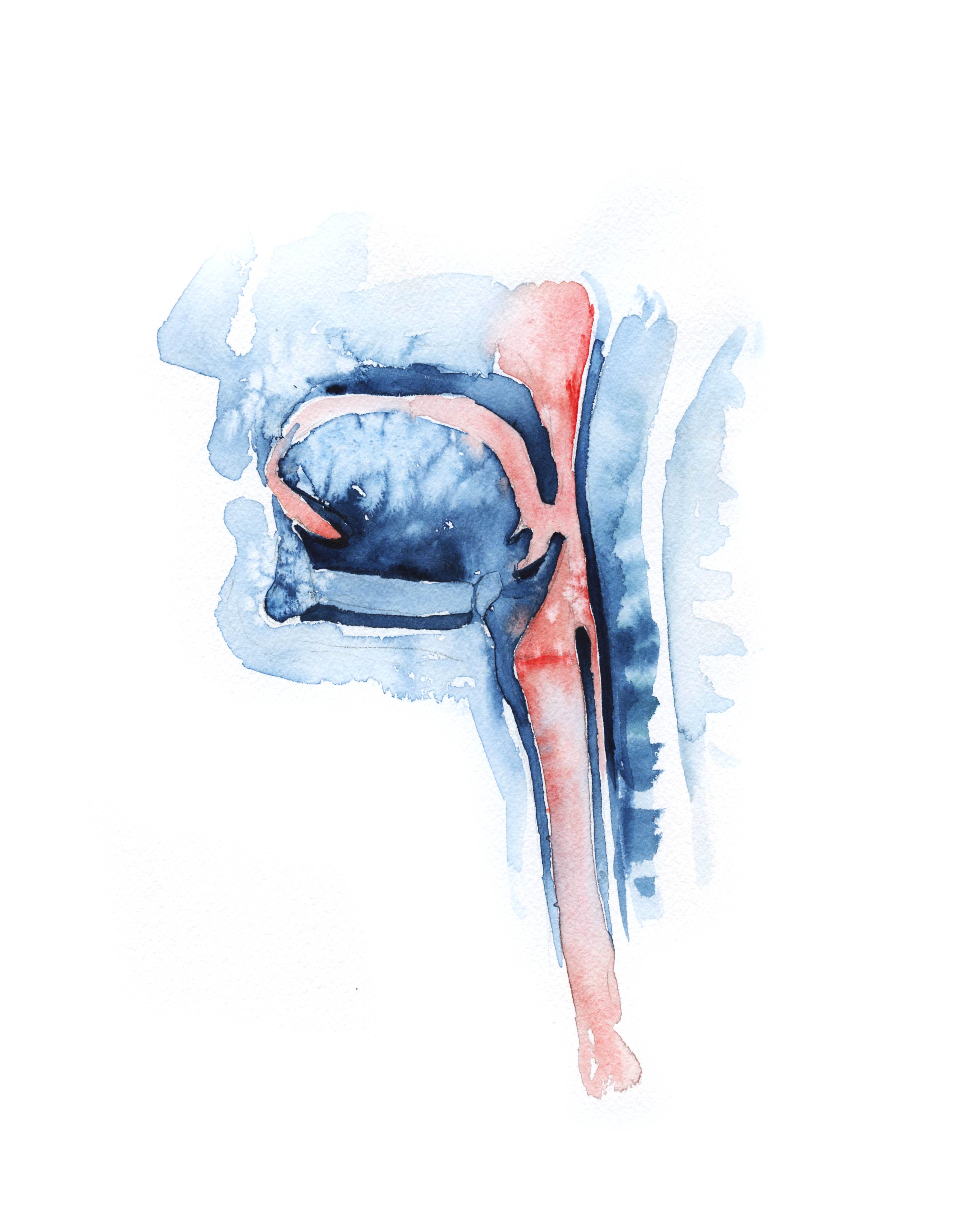 Unframed watercolor painting showing a swallowing mechanism with mouth, throat and tongue in prints and blues.
