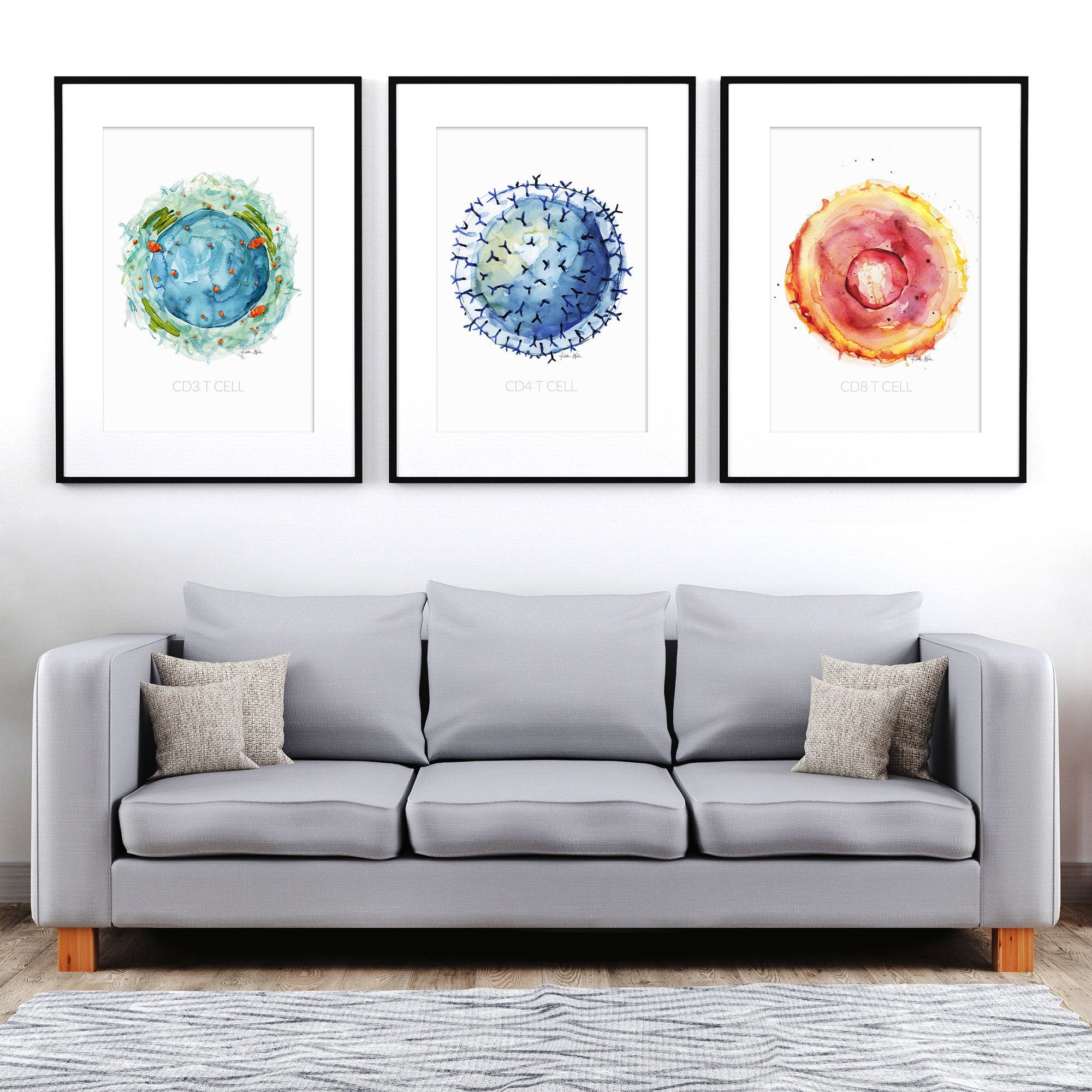Framed watercolor painting set of t-cells. The painting is hanging over a gray couch.