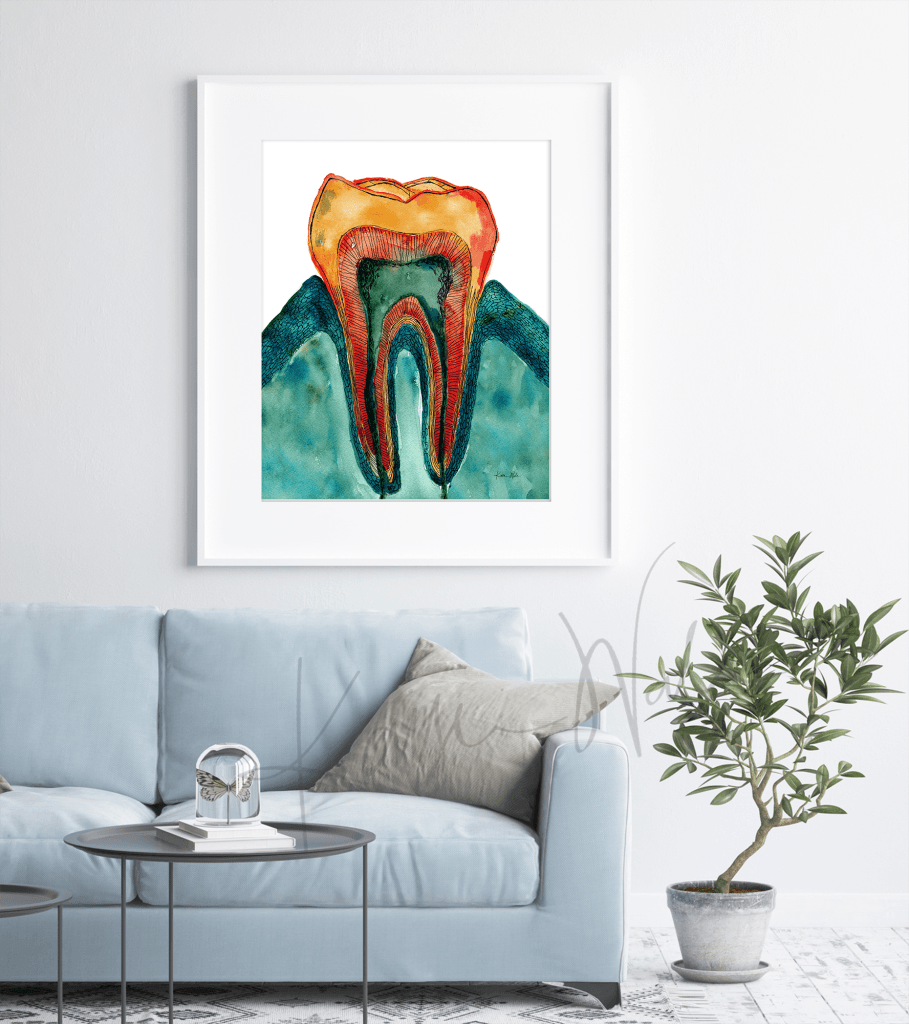 Framed Molar Cross Section Print In Teal Watercolor above a couch in a entist office waiting room