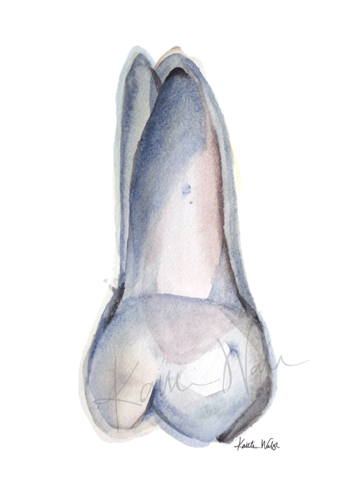 Molar In Blue Gray Print Watercolor