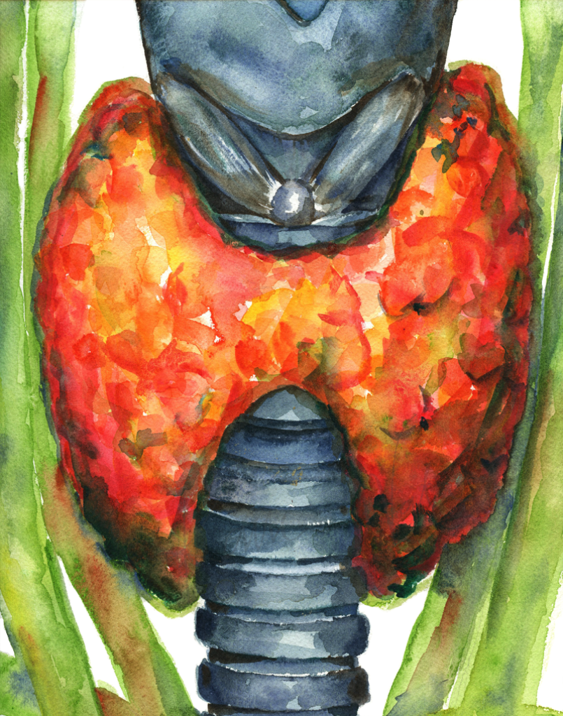 Thyroid In Red Print Watercolor