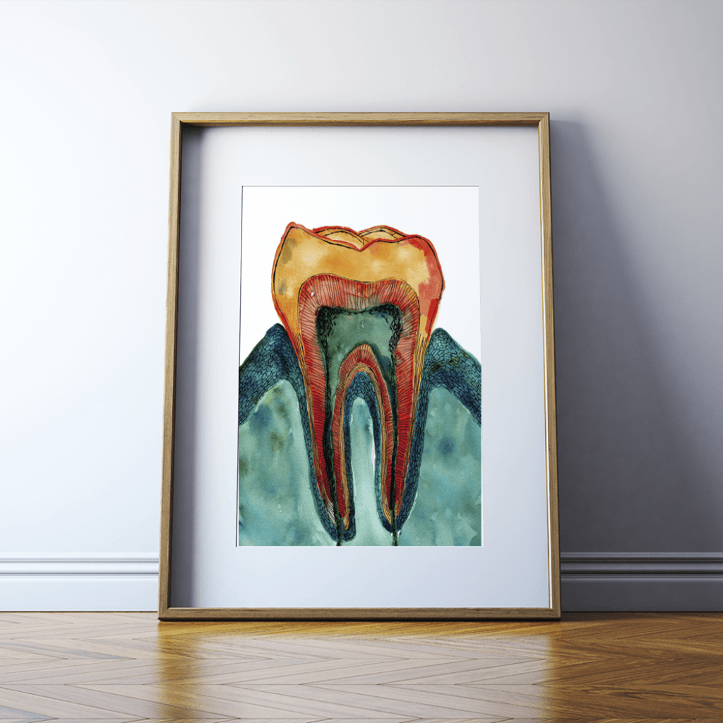 Framed Molar Cross Section Print In Teal Watercolor- Dental Art- Colorful art- Art for dentist office- gift for orthodontist