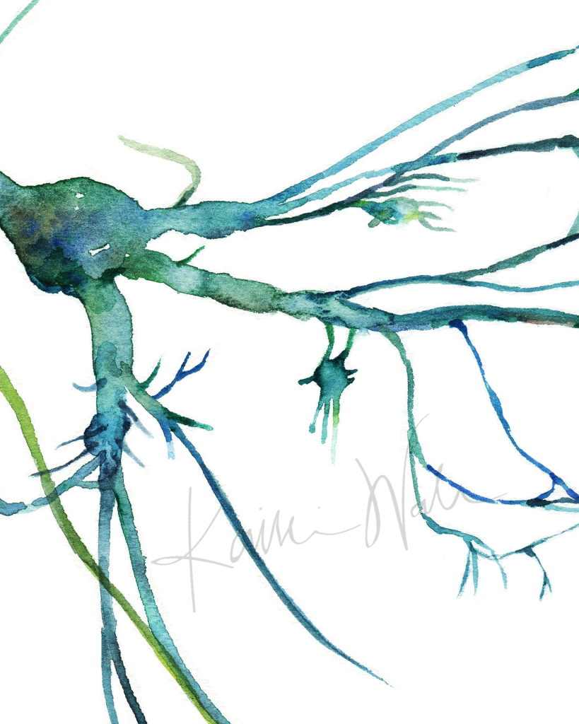 Trigeminal Nerve Print Watercolor