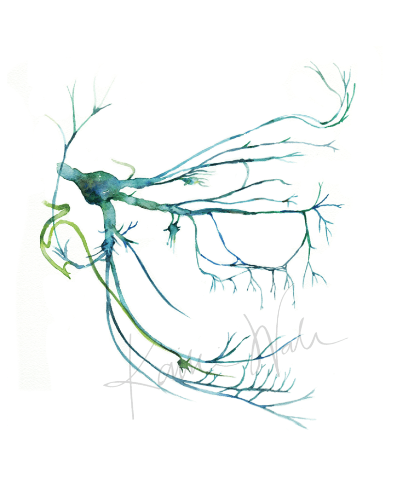 Trigeminal Nerve Print Watercolor