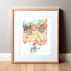 Framed watercolor painting of the gastrointestinal and urinary system.
