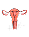 Uterus Print Watercolor