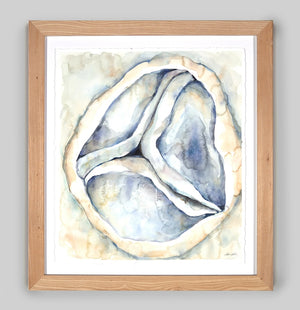 Tricuspid Valve Watercolor - Original