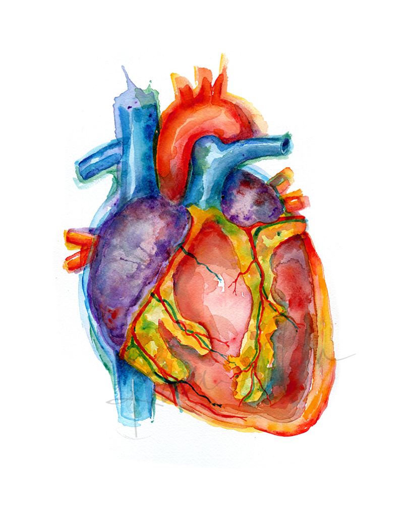 Vibrant Heart Watercolor Print