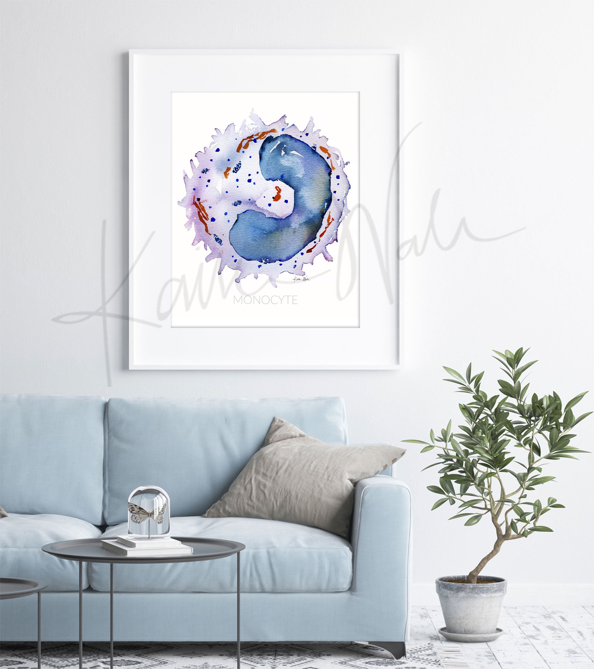 Framed watercolor painting of a monocyte white blood cell. The painting is hanging over a blue couch.