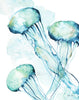 Jellyfish Watercolor Print