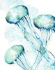 Jellyfish Watercolor Print