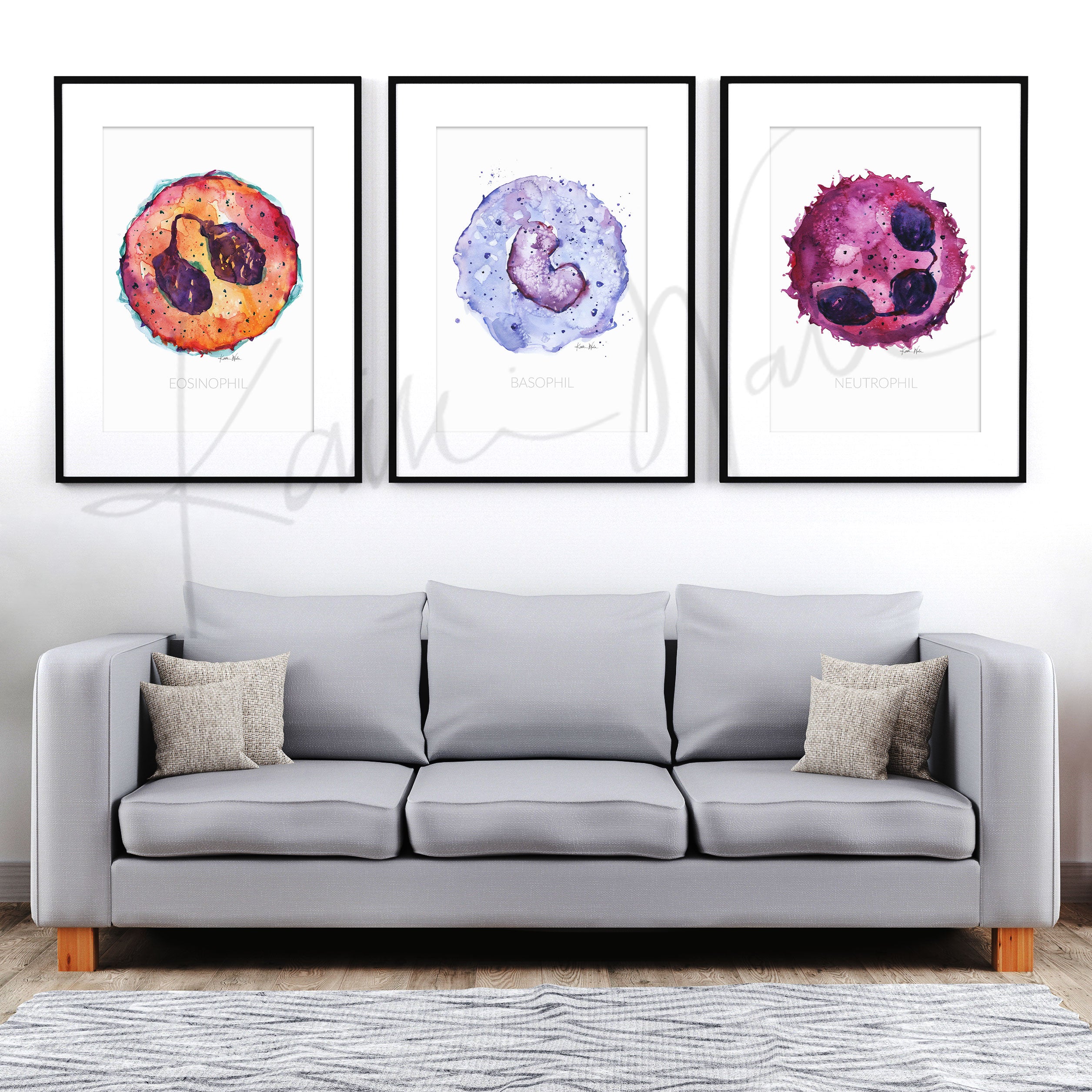 Framed watercolor painting set of different white blood cells. The painting is hanging over a gray couch.
